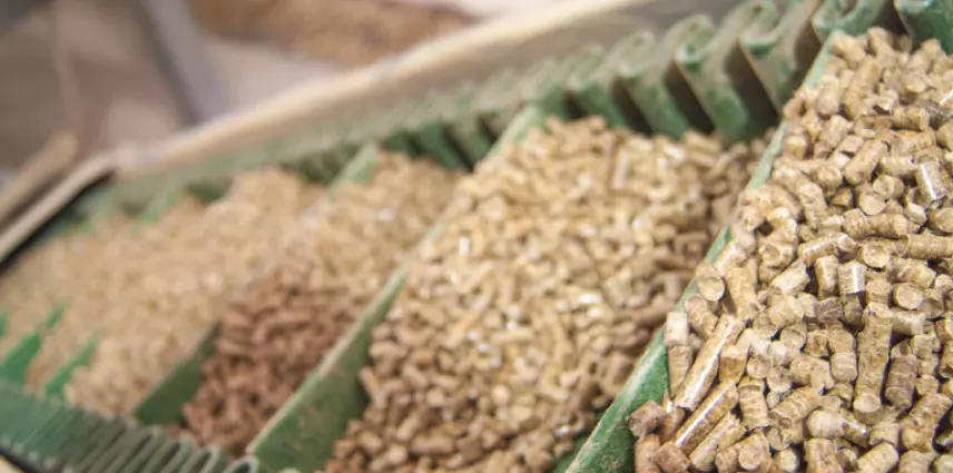О компании «Вологодская древесина»